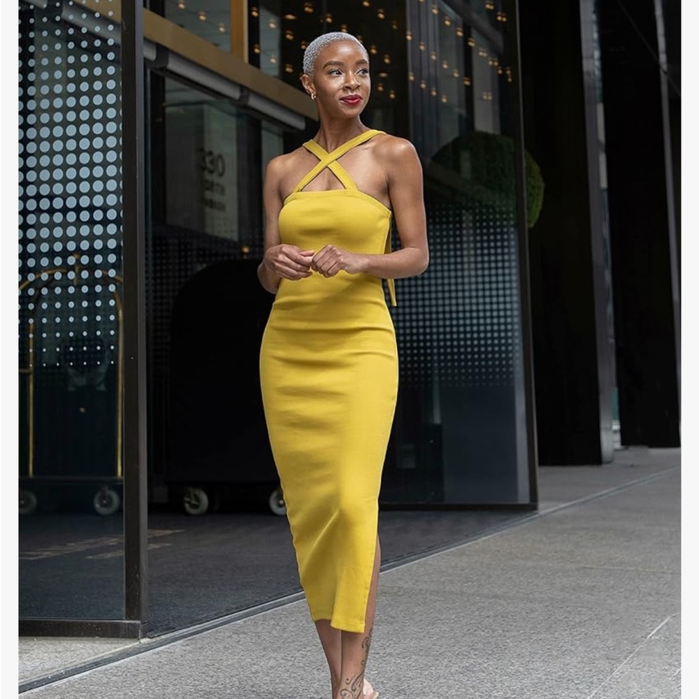 NWT The Drop Dress